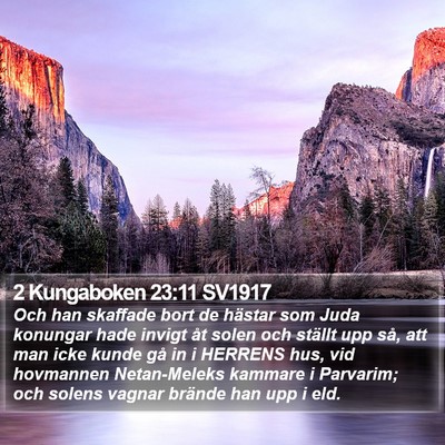 2 Kungaboken 23:11 SV1917 Bible Verse Image