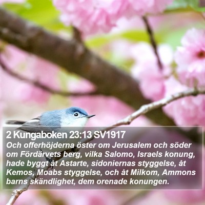 2 Kungaboken 23:13 SV1917 Bible Verse Image