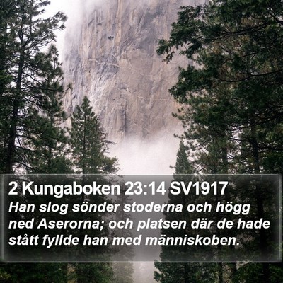 2 Kungaboken 23:14 SV1917 Bible Verse Image