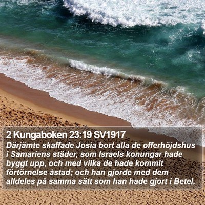 2 Kungaboken 23:19 SV1917 Bible Verse Image