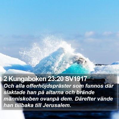 2 Kungaboken 23:20 SV1917 Bible Verse Image