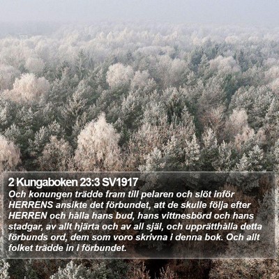 2 Kungaboken 23:3 SV1917 Bible Verse Image