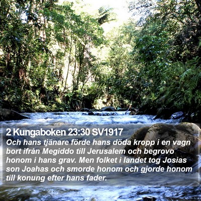 2 Kungaboken 23:30 SV1917 Bible Verse Image