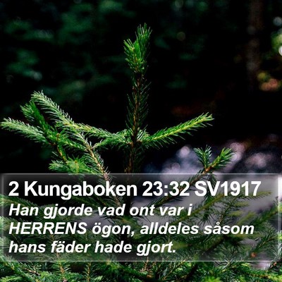 2 Kungaboken 23:32 SV1917 Bible Verse Image