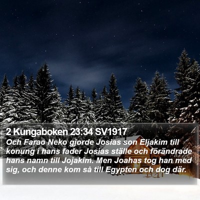 2 Kungaboken 23:34 SV1917 Bible Verse Image