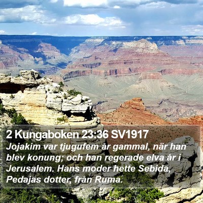 2 Kungaboken 23:36 SV1917 Bible Verse Image