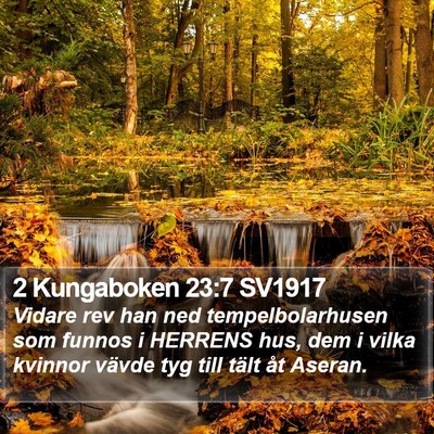 2 Kungaboken 23:7 SV1917 Bible Verse Image