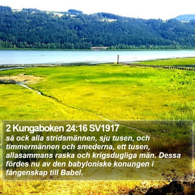 2 Kungaboken 24:16 SV1917 Bible Verse Image