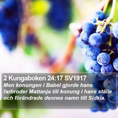 2 Kungaboken 24:17 SV1917 Bible Verse Image