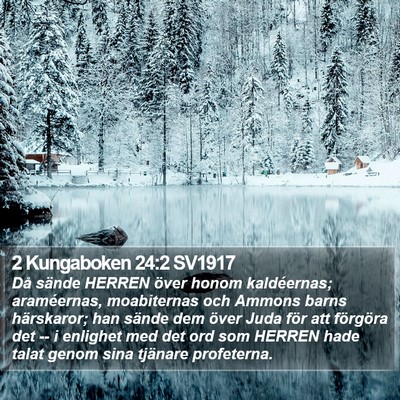 2 Kungaboken 24:2 SV1917 Bible Verse Image