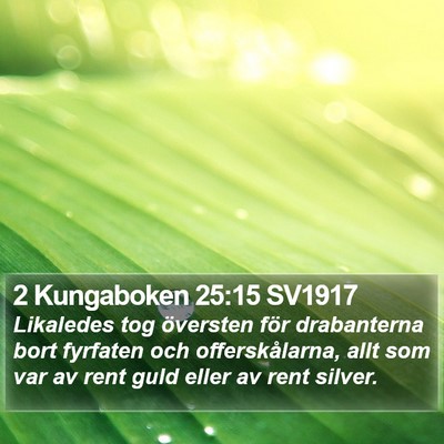 2 Kungaboken 25:15 SV1917 Bible Verse Image