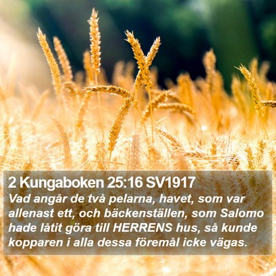2 Kungaboken 25:16 SV1917 Bible Verse Image
