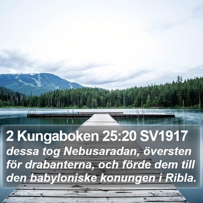 2 Kungaboken 25:20 SV1917 Bible Verse Image