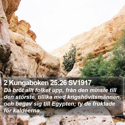 2 Kungaboken 25:26 SV1917 Bible Verse Image