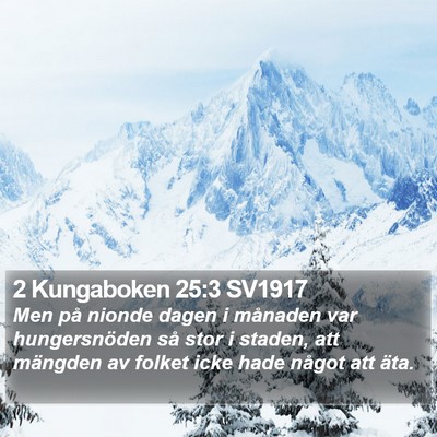 2 Kungaboken 25:3 SV1917 Bible Verse Image