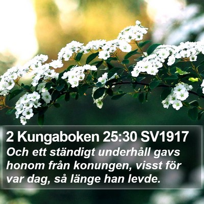 2 Kungaboken 25:30 SV1917 Bible Verse Image