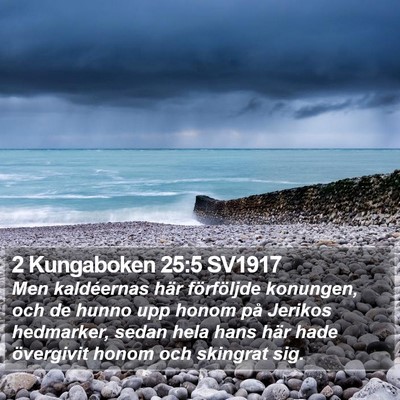 2 Kungaboken 25:5 SV1917 Bible Verse Image