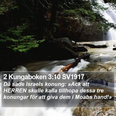 2 Kungaboken 3:10 SV1917 Bible Verse Image