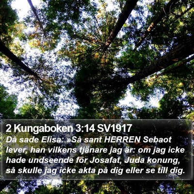 2 Kungaboken 3:14 SV1917 Bible Verse Image