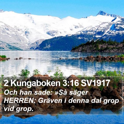 2 Kungaboken 3:16 SV1917 Bible Verse Image