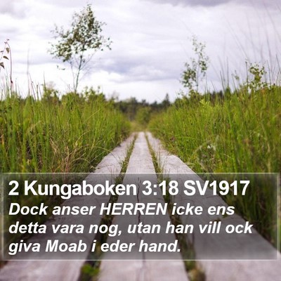 2 Kungaboken 3:18 SV1917 Bible Verse Image