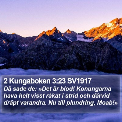 2 Kungaboken 3:23 SV1917 Bible Verse Image