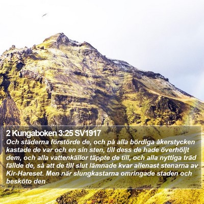 2 Kungaboken 3:25 SV1917 Bible Verse Image