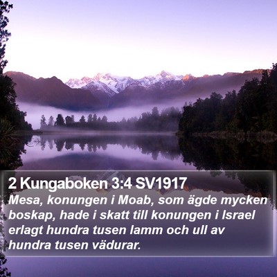 2 Kungaboken 3:4 SV1917 Bible Verse Image