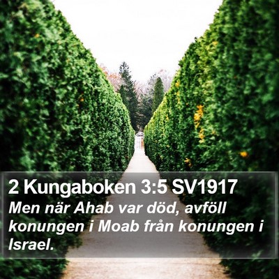 2 Kungaboken 3:5 SV1917 Bible Verse Image