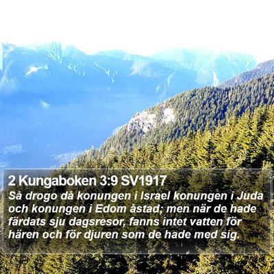 2 Kungaboken 3:9 SV1917 Bible Verse Image
