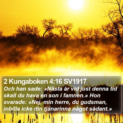 2 Kungaboken 4:16 SV1917 Bible Verse Image