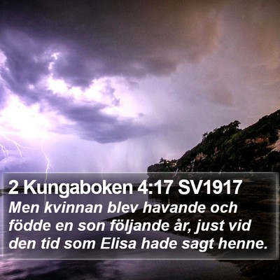 2 Kungaboken 4:17 SV1917 Bible Verse Image