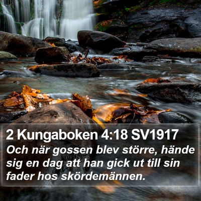 2 Kungaboken 4:18 SV1917 Bible Verse Image