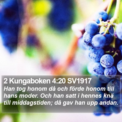 2 Kungaboken 4:20 SV1917 Bible Verse Image