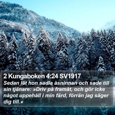 2 Kungaboken 4:24 SV1917 Bible Verse Image
