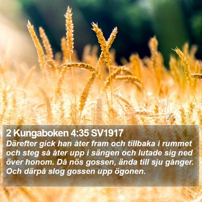 2 Kungaboken 4:35 SV1917 Bible Verse Image