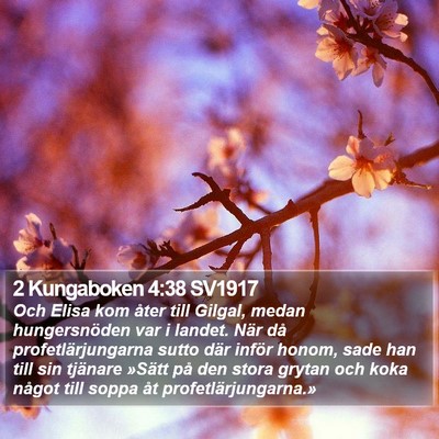 2 Kungaboken 4:38 SV1917 Bible Verse Image