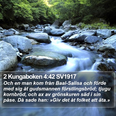 2 Kungaboken 4:42 SV1917 Bible Verse Image