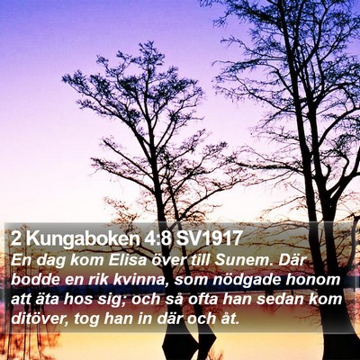 2 Kungaboken 4:8 SV1917 Bible Verse Image