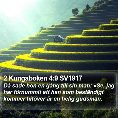 2 Kungaboken 4:9 SV1917 Bible Verse Image