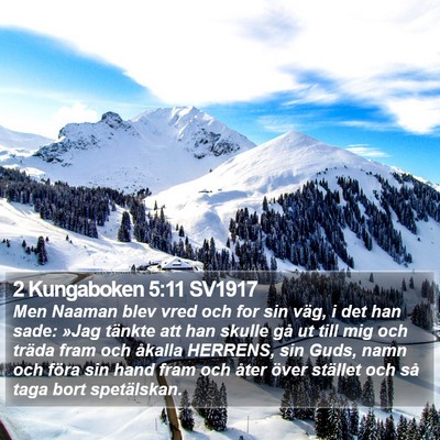 2 Kungaboken 5:11 SV1917 Bible Verse Image