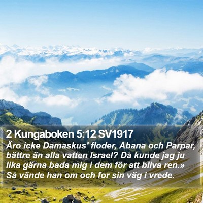 2 Kungaboken 5:12 SV1917 Bible Verse Image
