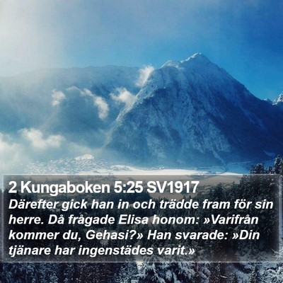 2 Kungaboken 5:25 SV1917 Bible Verse Image