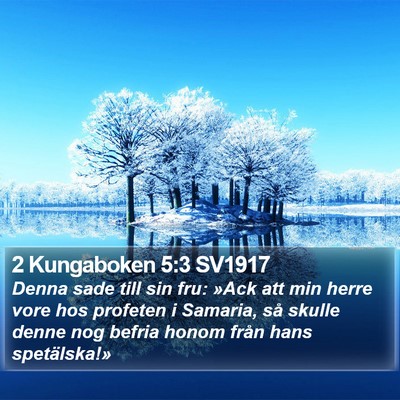 2 Kungaboken 5:3 SV1917 Bible Verse Image