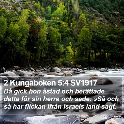 2 Kungaboken 5:4 SV1917 Bible Verse Image