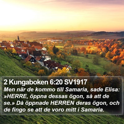 2 Kungaboken 6:20 SV1917 Bible Verse Image