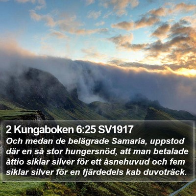 2 Kungaboken 6:25 SV1917 Bible Verse Image