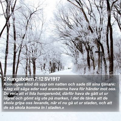 2 Kungaboken 7:12 SV1917 Bible Verse Image