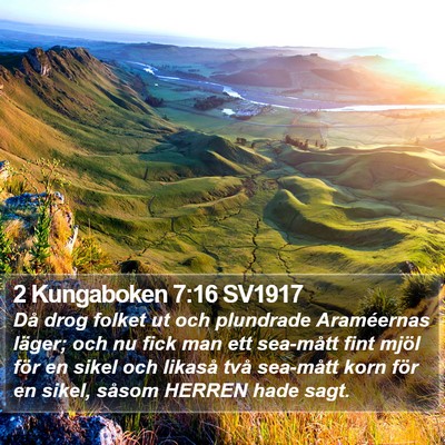 2 Kungaboken 7:16 SV1917 Bible Verse Image