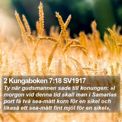 2 Kungaboken 7:18 SV1917 Bible Verse Image